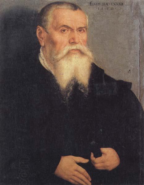 Lucas Cranach Portrait of Lucas Cranach the Elder oil painting picture